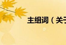 主组词（关于主组词的介绍）