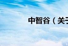 中智谷（关于中智谷的介绍）