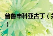 普鲁申科亚古丁（关于普鲁申科亚古丁的介绍）
