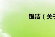 银洁（关于银洁的介绍）