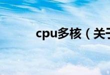 cpu多核（关于cpu多核的介绍）