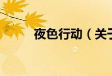 夜色行动（关于夜色行动的介绍）