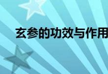 玄参的功效与作用（大家可以了解一下）