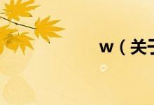 w（关于w的介绍）