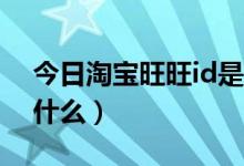 今日淘宝旺旺id是账号名吗（淘宝旺旺ID是什么）
