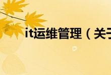 it运维管理（关于it运维管理的介绍）