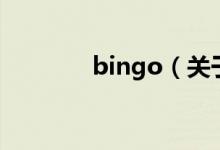 bingo（关于bingo的介绍）