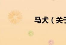 马犬（关于马犬的介绍）