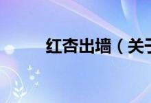 红杏出墙（关于红杏出墙的介绍）