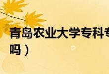 青岛农业大学专科专业（青岛农业大学有专科吗）