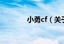 小勇cf（关于小勇cf的介绍）