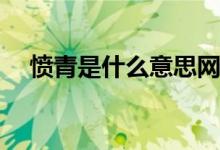愤青是什么意思网络语(愤青是什么意思)