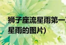 狮子座流星雨第一次爆发是哪一年(狮子座流星雨的图片)