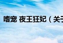 嗜宠 夜王狂妃（关于嗜宠 夜王狂妃的介绍）