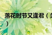 落花时节又逢君（关于落花时节又逢君的介绍）