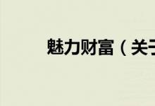 魅力财富（关于魅力财富的介绍）
