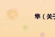 隼（关于隼的介绍）
