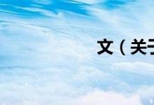 文(关于文的介绍)