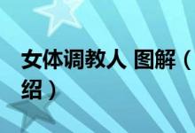 女体调教人 图解（关于女体调教人 图解的介绍）
