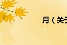 月（关于月的介绍）