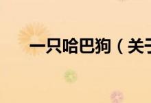 一只哈巴狗（关于一只哈巴狗的介绍）