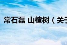 常石磊 山楂树（关于常石磊 山楂树的介绍）