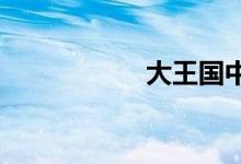 大王国中月亮的梦影