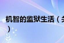机智的监狱生活(关于机智的监狱生活的介绍)