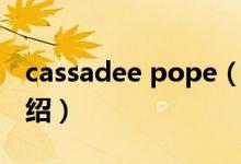 cassadee pope（关于cassadee pope的介绍）