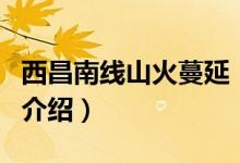 西昌南线山火蔓延（关于西昌南线山火蔓延的介绍）
