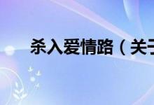 杀入爱情路（关于杀入爱情路的介绍）