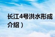 长江4号洪水形成（关于长江4号洪水形成的介绍）