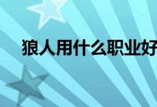 狼人用什么职业好（狼人适合什么职业）