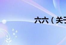 六六（关于六六的介绍）
