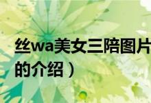 丝wa美女三陪图片（关于丝wa美女三陪图片的介绍）