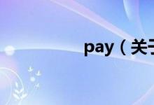 pay（关于pay的介绍）