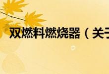 双燃料燃烧器（关于双燃料燃烧器的介绍）