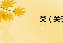 爻（关于爻的介绍）