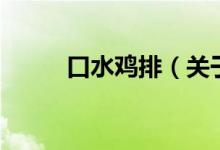 口水鸡排（关于口水鸡排的介绍）