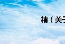 精（关于精的介绍）