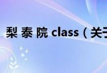 梨 泰 院 class（关于梨 泰 院 class的介绍）