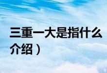 三重一大是指什么（关于三重一大是指什么的介绍）