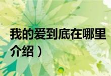 我的爱到底在哪里（关于我的爱到底在哪里的介绍）