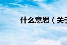 什么意思（关于什么意思的介绍）