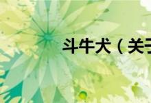 斗牛犬（关于斗牛犬的介绍）