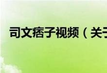 司文痞子视频（关于司文痞子视频的介绍）