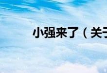 小强来了（关于小强来了的介绍）