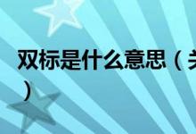 双标是什么意思（关于双标是什么意思的介绍）