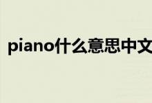 piano什么意思中文翻译（piano什么意思）