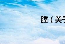 膛（关于膛的介绍）